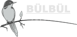 BÜLBÜL  APARTMANI